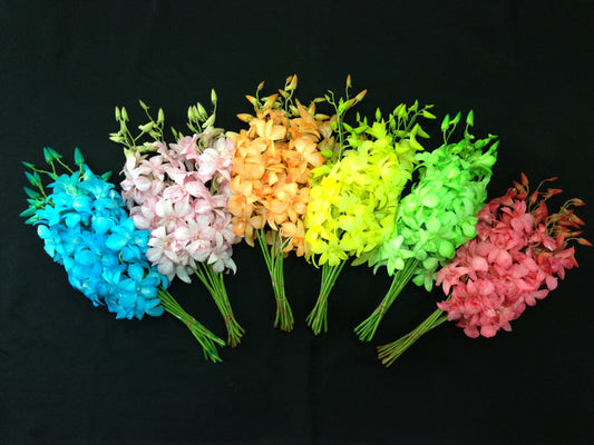 Singapore Orchids Bouquet Size & Dyed Orchids - Assorted Dyed Bunches