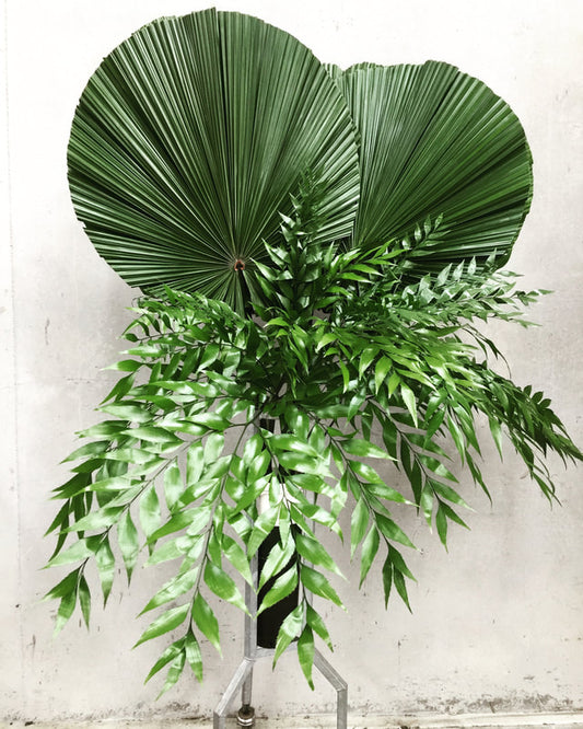 Local Foliage & Miscellaneous Sundries - LICUALA PALM & BYFILED FRON