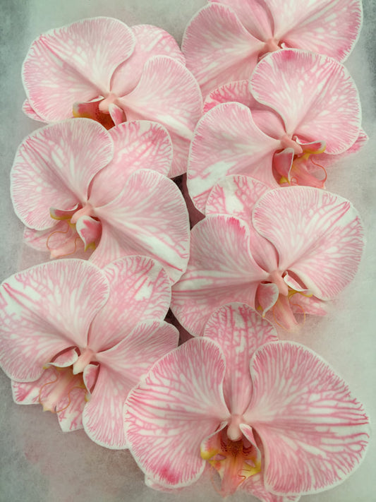 Phalaenopsis Orchids Cut Stems - Dyed Varieties Dyed Orange