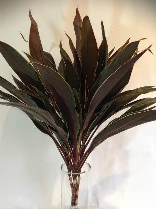CORDYLINE TOPS - CAPPUCCINO TOP - 5 STEM BUNCHES