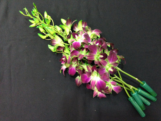 Singapore Orchids Bouquet Size & Dyed Orchids - Galaxy Dyed Green
