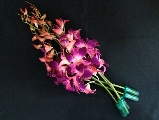 Singapore Orchids Bouquet Size & Dyed Orchids - Galaxy Dyed Red