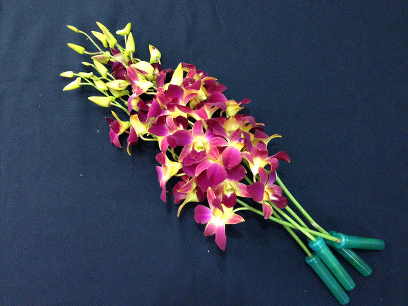 Singapore Orchids Bouquet Size & Dyed Orchids - Galaxy Dyed Yellow