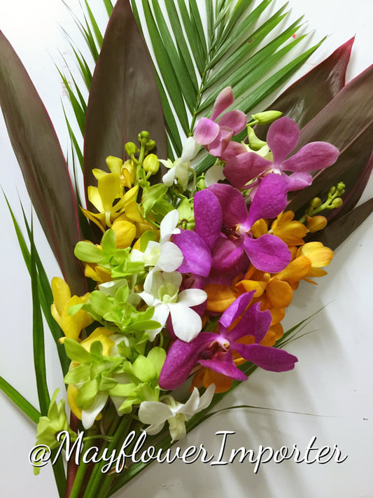 Singapore Orchids Bouquet Size & Dyed Orchids - Mix 8 QBT