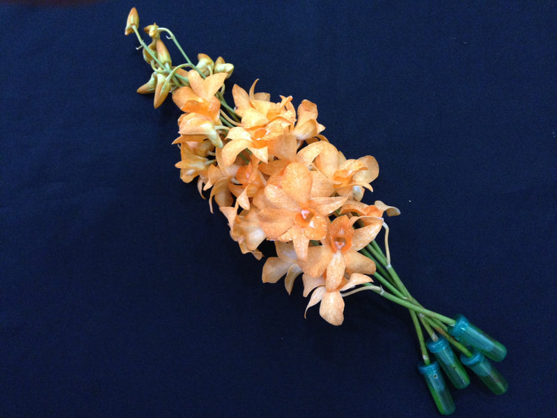 Singapore Orchids Bouquet Size & Dyed Orchids - White Dyed Orange