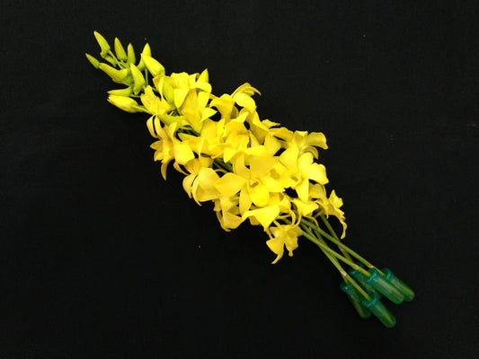 Singapore Orchids Bouquet Size & Dyed Orchids - White Dyed Yellow