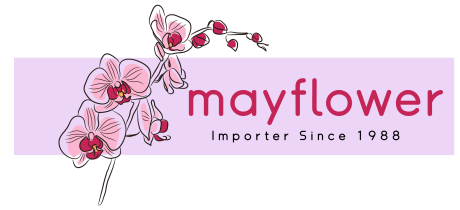 Mayflower Importer