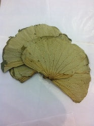 Local Foliage & Miscellaneous Sundries - DRIED LOTUS LEAVES
